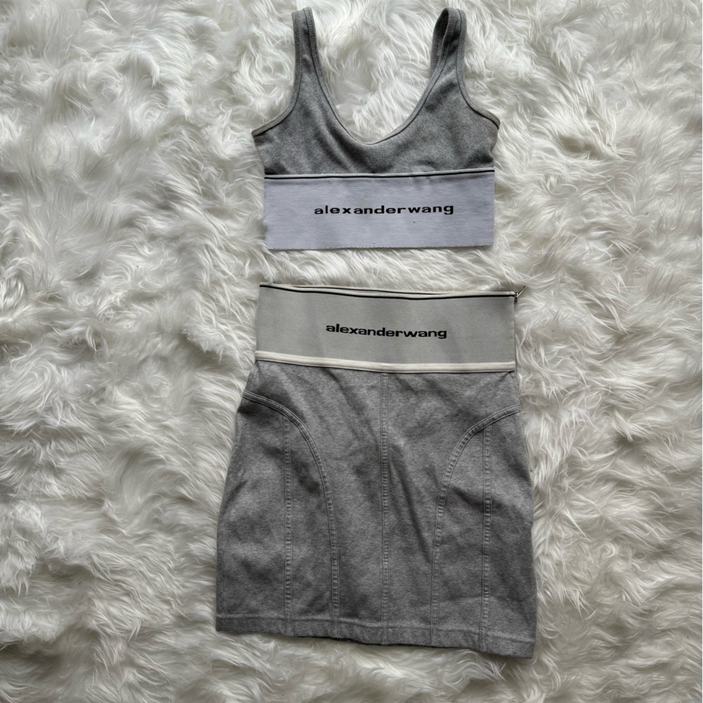 Alexander Wang skirt and Crop Top 100% authentic